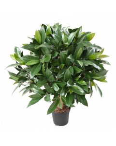 Laurier artificiel en boule sur tronc extérieur H 50 cm D 40 cm