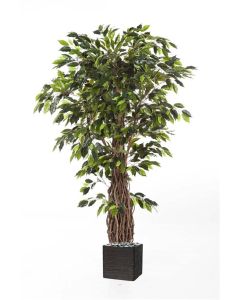 Ficus lianes artificiel luxe H 240 cm 3584 feuilles gros tronc en pot