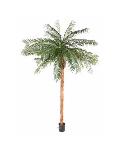 Palmier Phoenix artificiel finition Luxe H 210 cm très belle tête