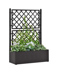 Lit surélevé de jardin avec treillis et système d'arrosage automatique, couleur anthracite