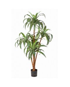 Dracaena artificiel H 120 cm 110 feuilles 5 troncs en pot