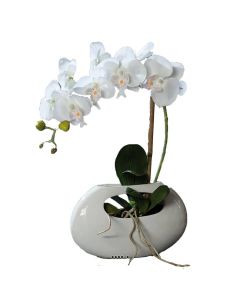 Orchidee artificielle crème 1 hampe pot Ceramique Blanc oval H 43 cm