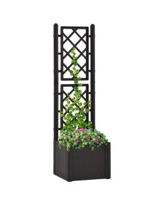 Jardinière surélevée avec treillis et système d'arrosage automatique pour plantes grimpantes - Anthracite