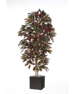Capensia arbre artificiel H210cm 1088 feuilles Superbe et dense en pot