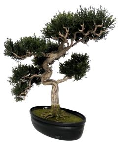 Bonsai artificiel Cedre H 43 X 40 CM 318 feuilles