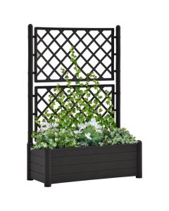 Jardinière avec treillis en PP anthracite pour plantes grimpantes - 100x43x142 cm