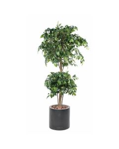 Ficus artificiel double boule H 180 cm Vert en pot