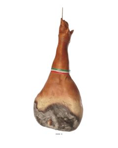Jambon Fumé San Daniele artificiel en Plastique soufflé H 580x280 mm